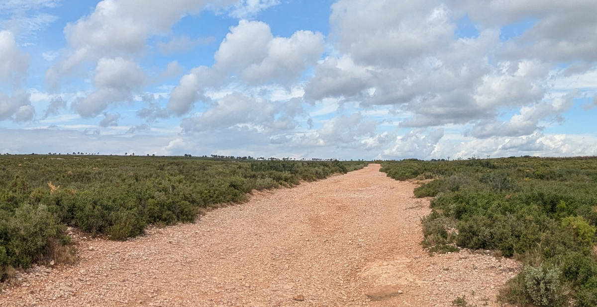 La garrigue à perte de vue le long de la piste D.F.C.I
