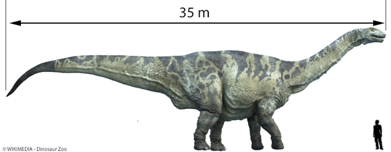 Argentinosaure